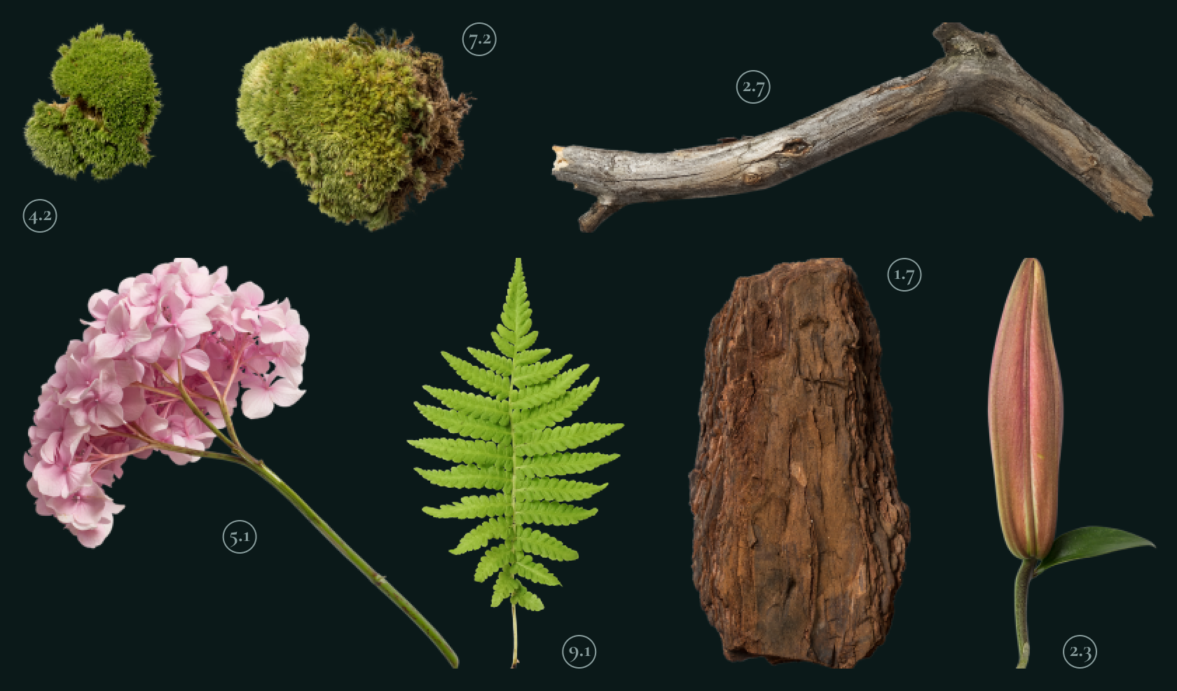 New Artifacts